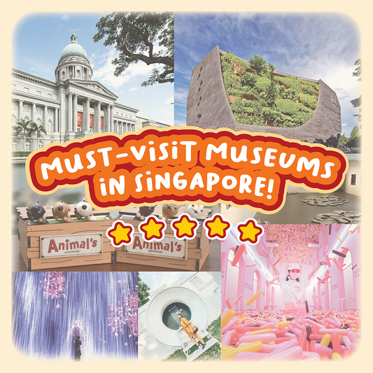 Must-Visit Museums in Singapore! 🏛️