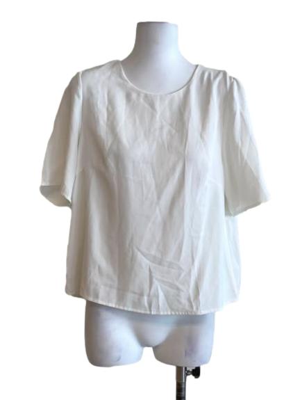 Chiffon White Loose Blouse TTR