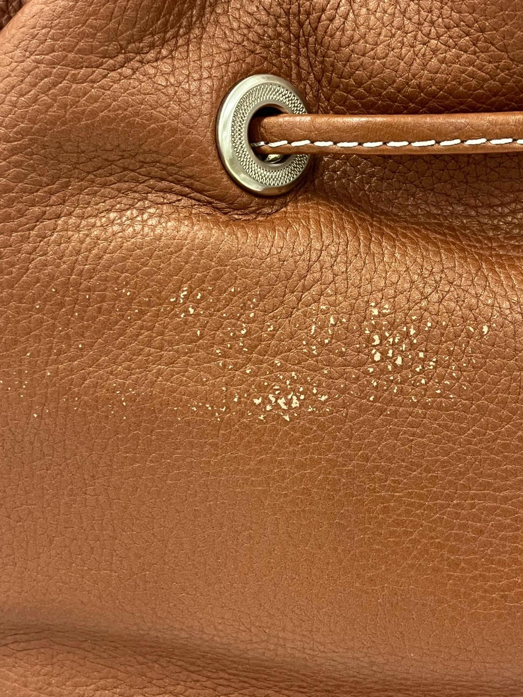 Brown Medium Premier Flirt Leather Bucket Bag