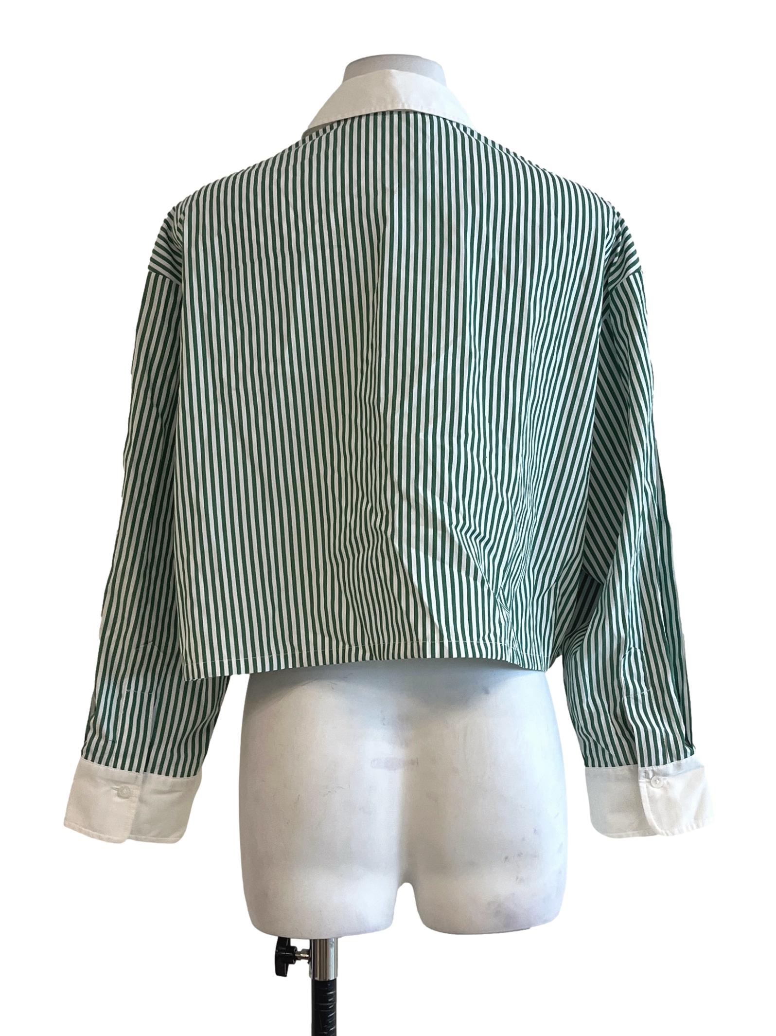 Parakeet Green Stripe Long Sleeve Cropped Top LB