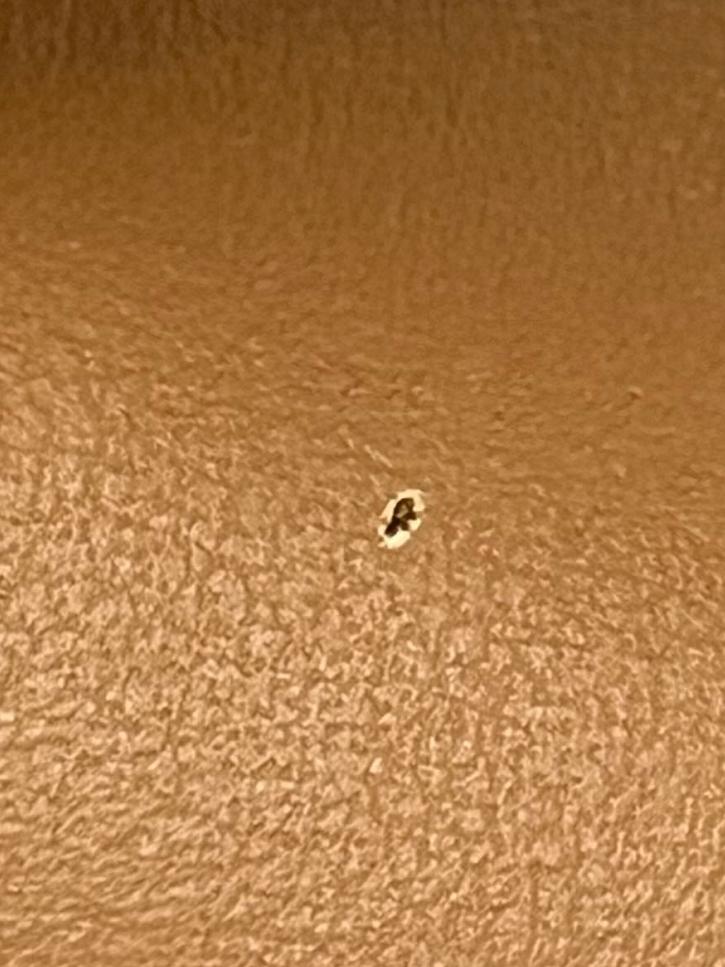 Camel Numero Un Nano Crossbody Bag CSN*