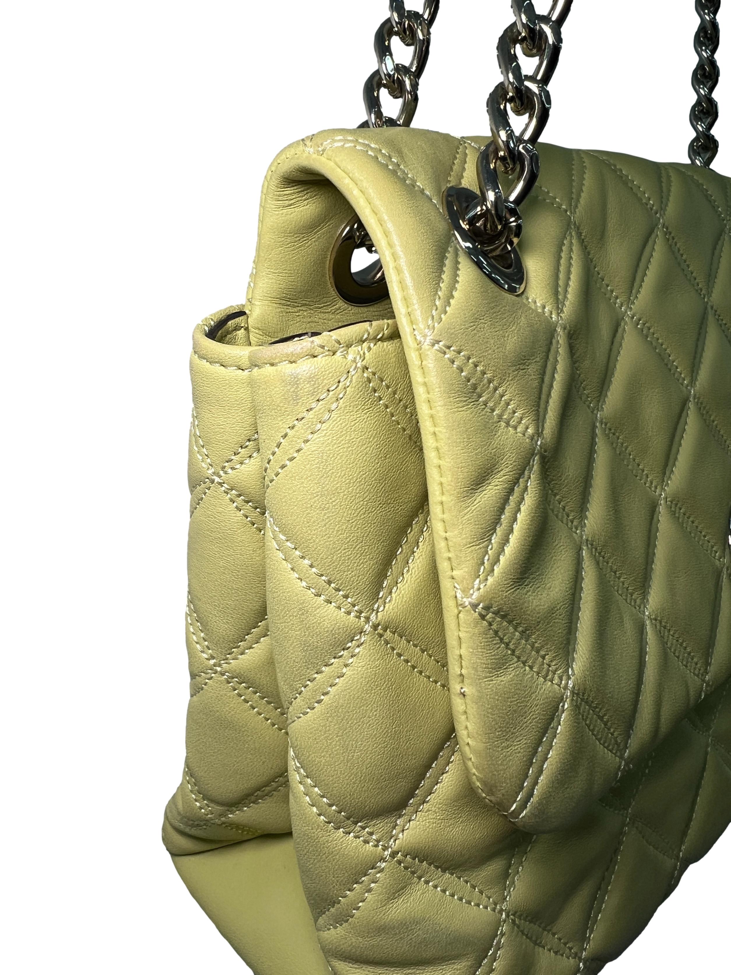 Pear Gold Hardwear Shoulder Bag CSN