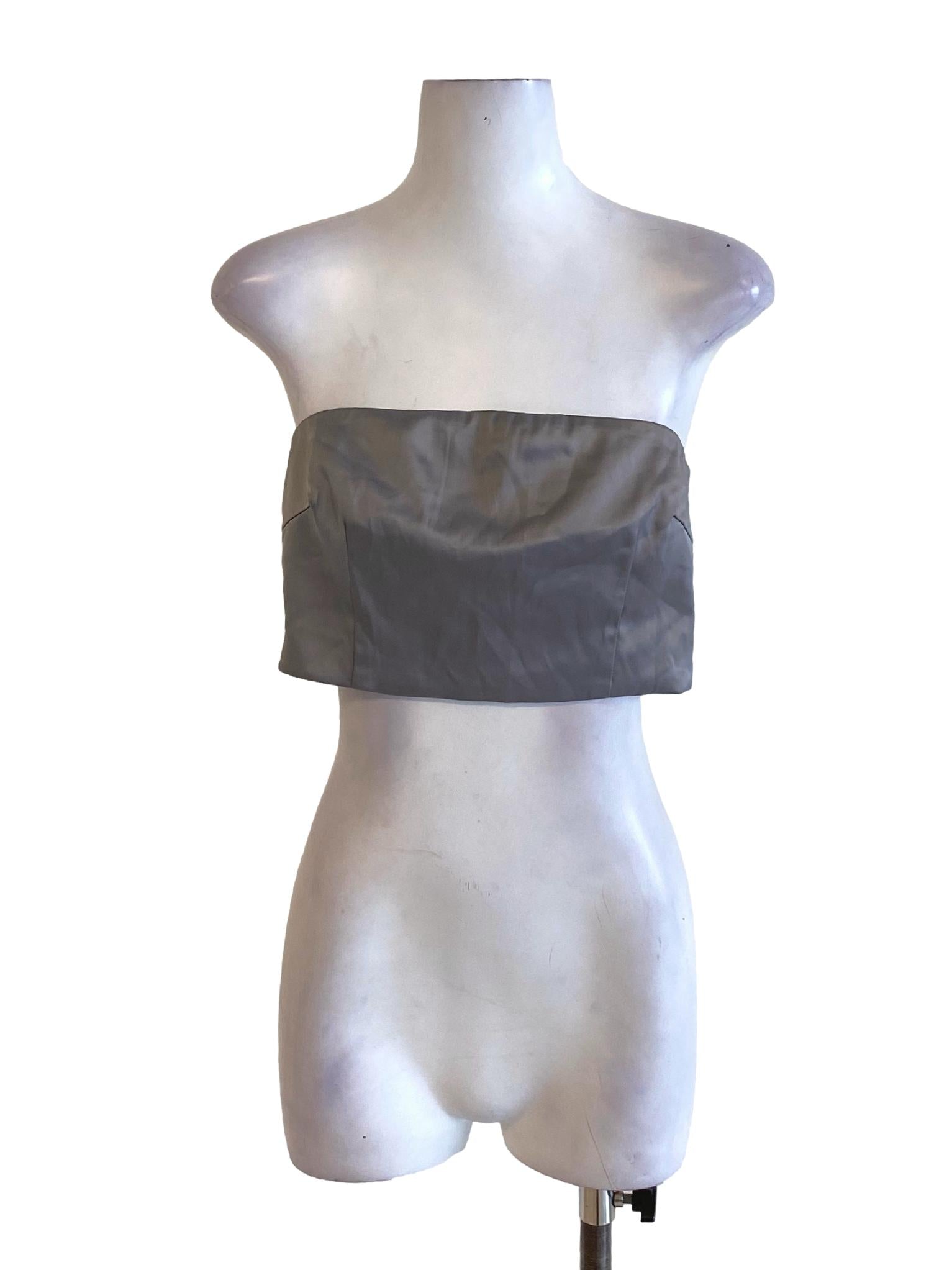 Ash Grey Strapless Zipped Cropped Top