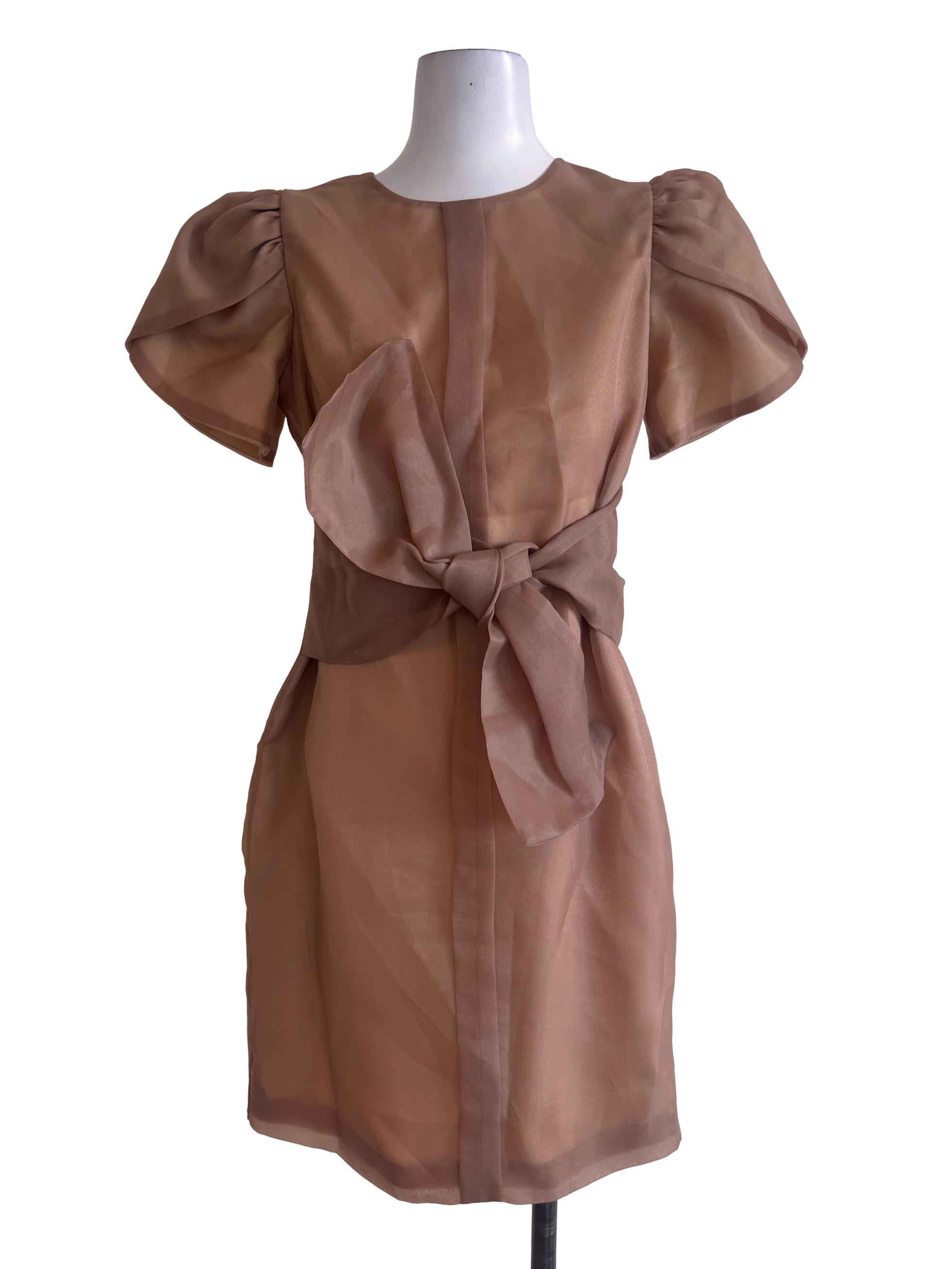 Brown Ribboned Dress