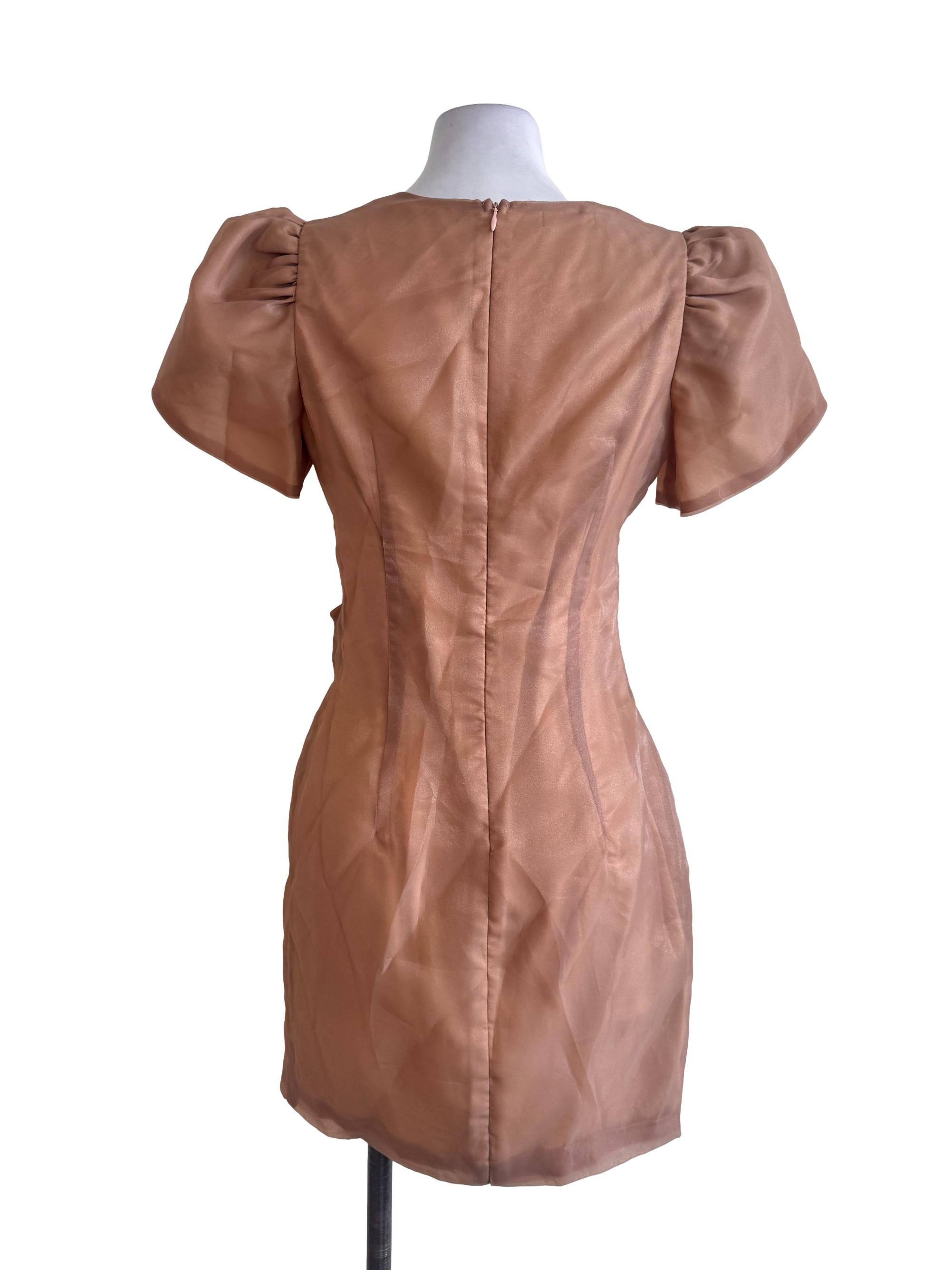 Brown Ribboned Dress