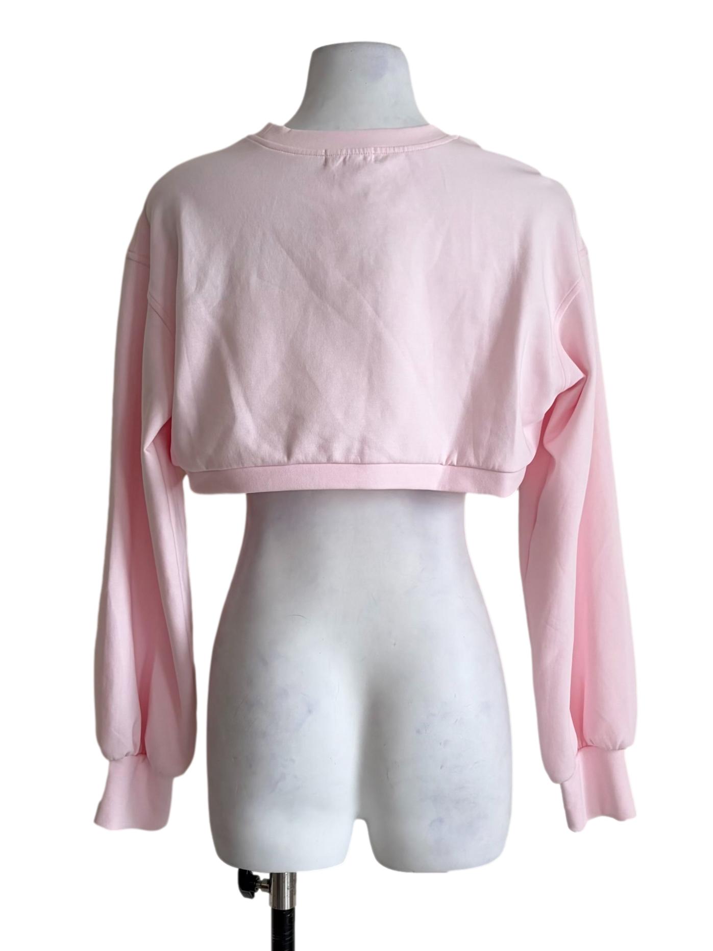 Blush Pink Long Sleeve Crop Top