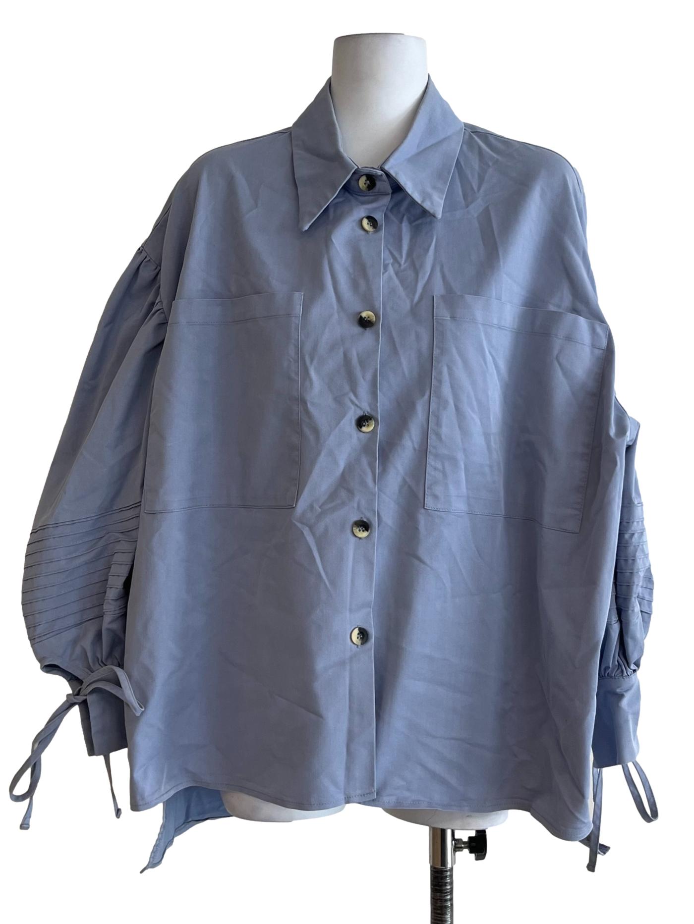 Blue Wing Collar Button-Down Blouse
