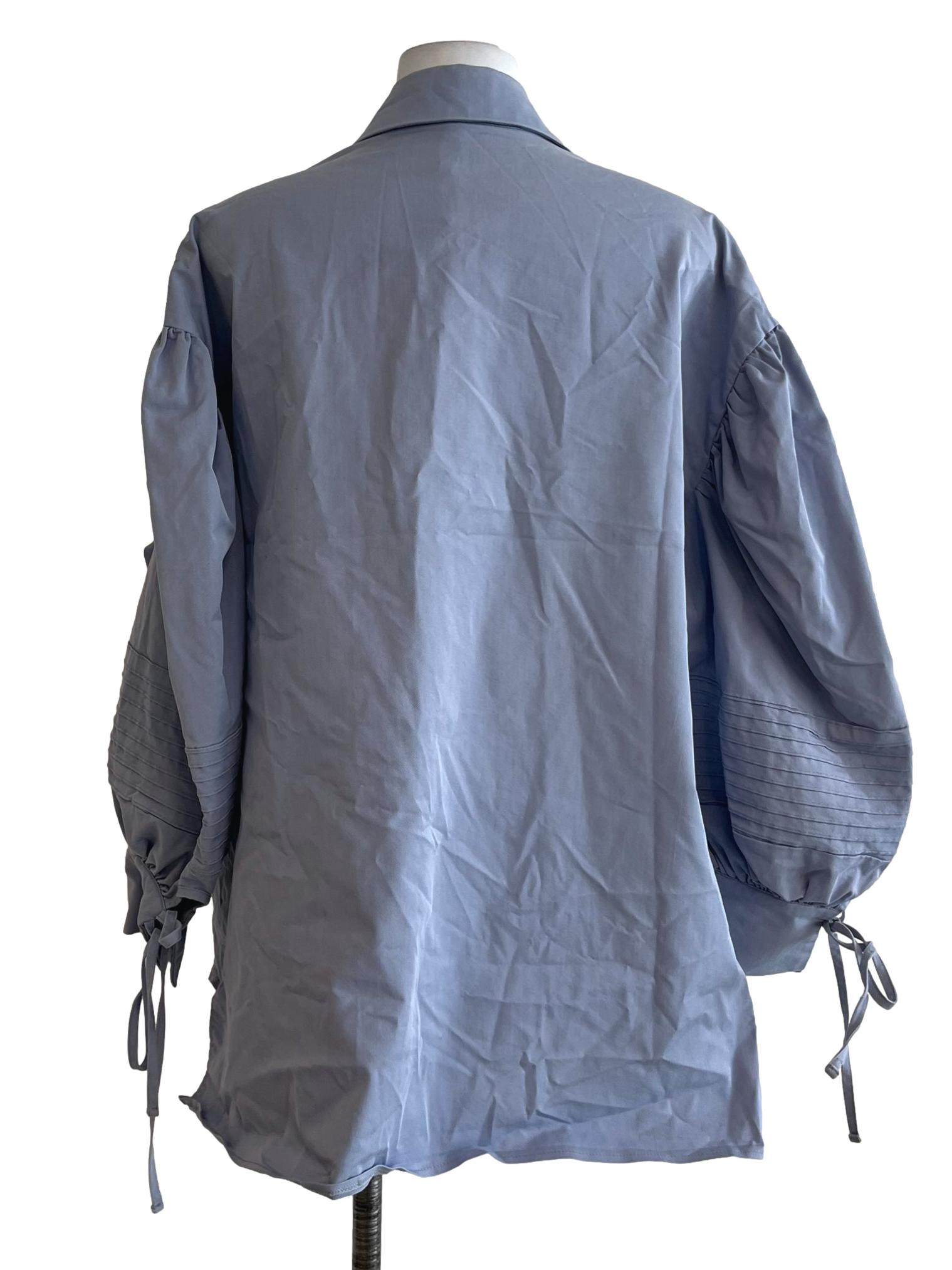 Blue Wing Collar Button-Down Blouse