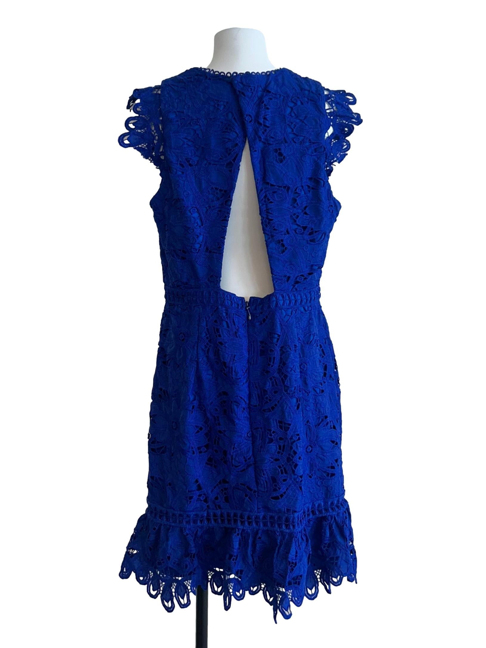 Cobalt Blue Embroidered Dress