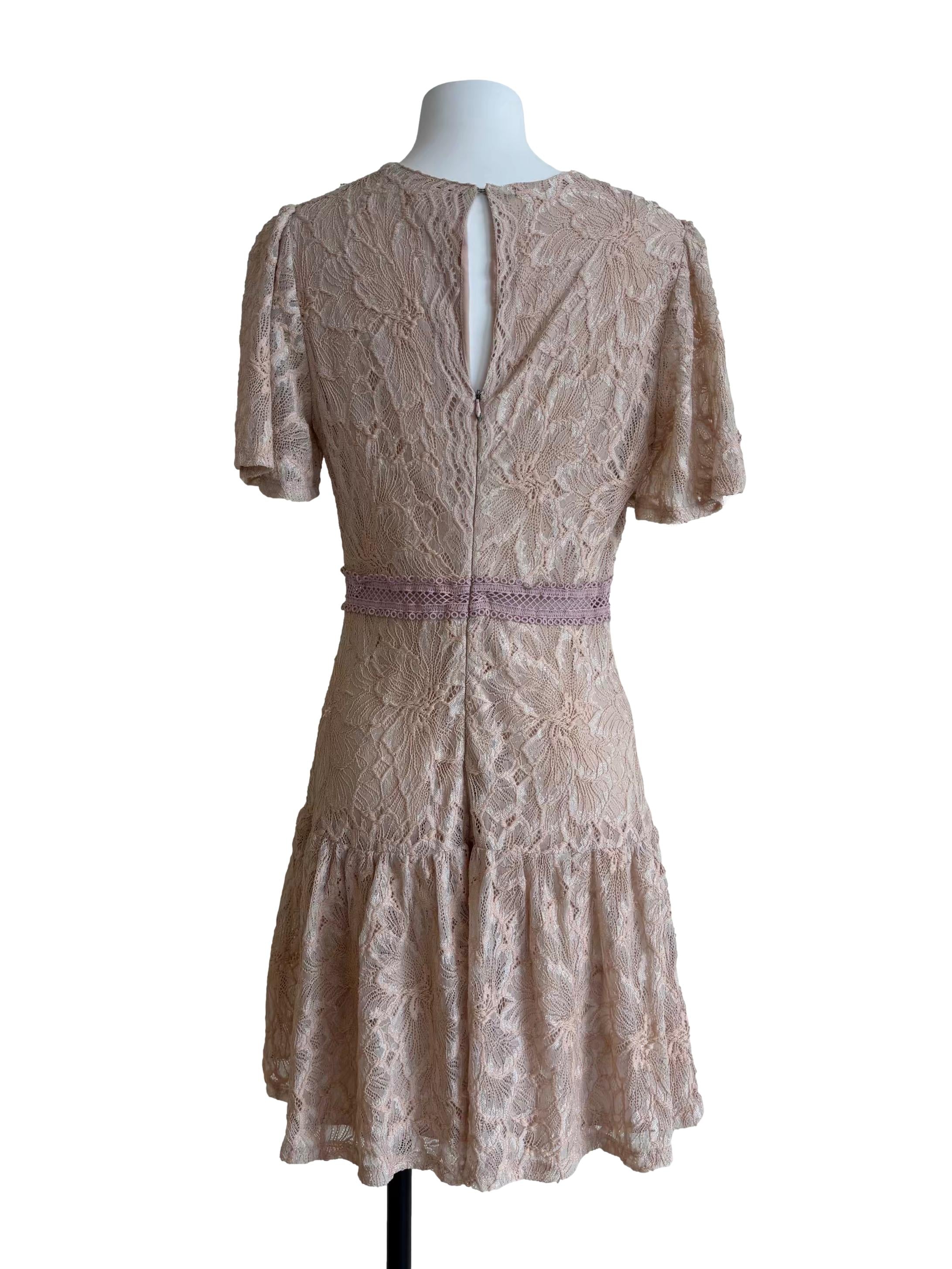 Nude Pink Flare Lace Dress