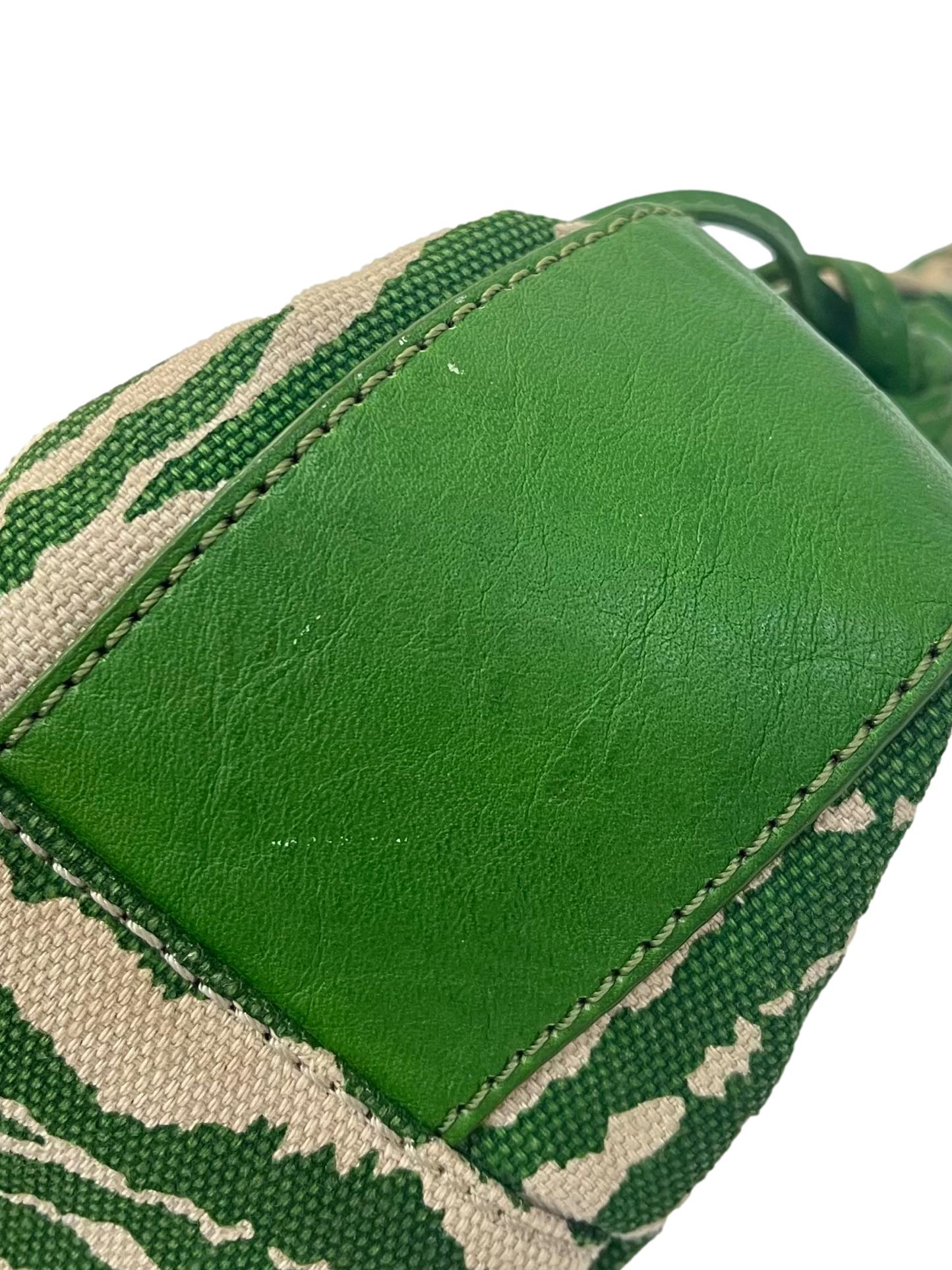 Green Zebra Print Canvas Shoulder Bag