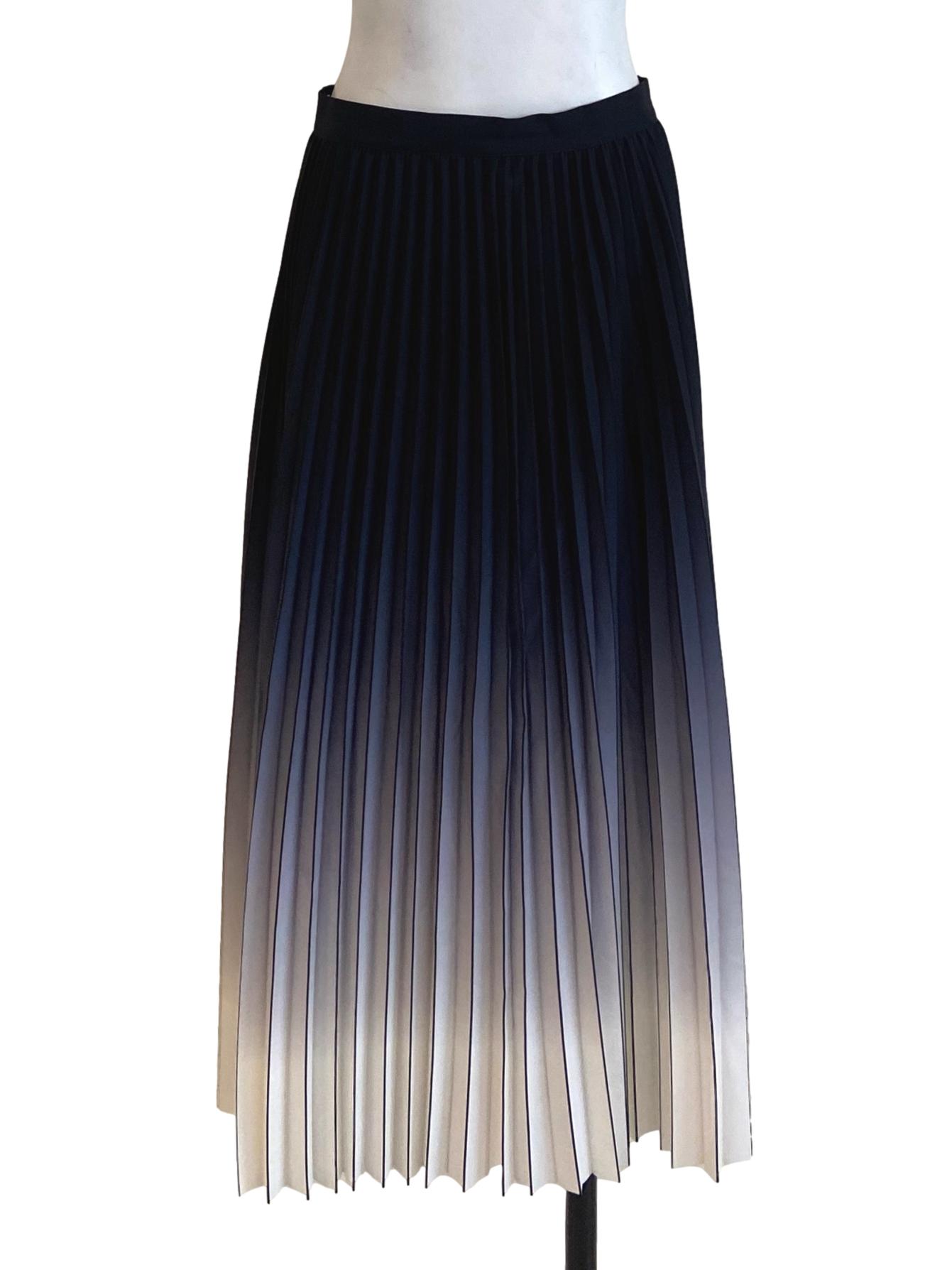 Black & Silver Accordion A-Line Skirt