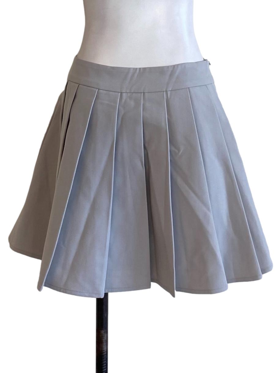 Coin Grey Box Pleated Mini A-Line Skirt
