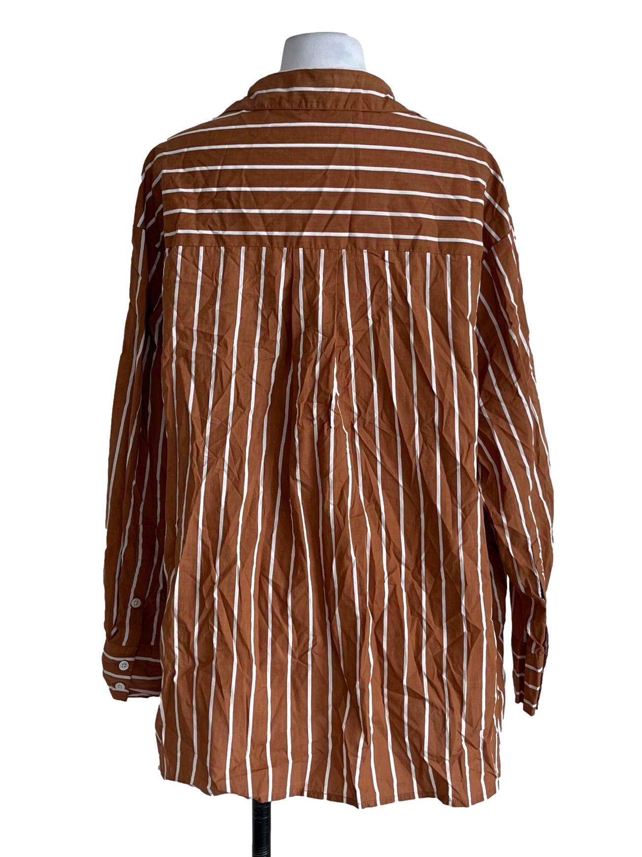 Tawny Brown Wing Collar Blouse