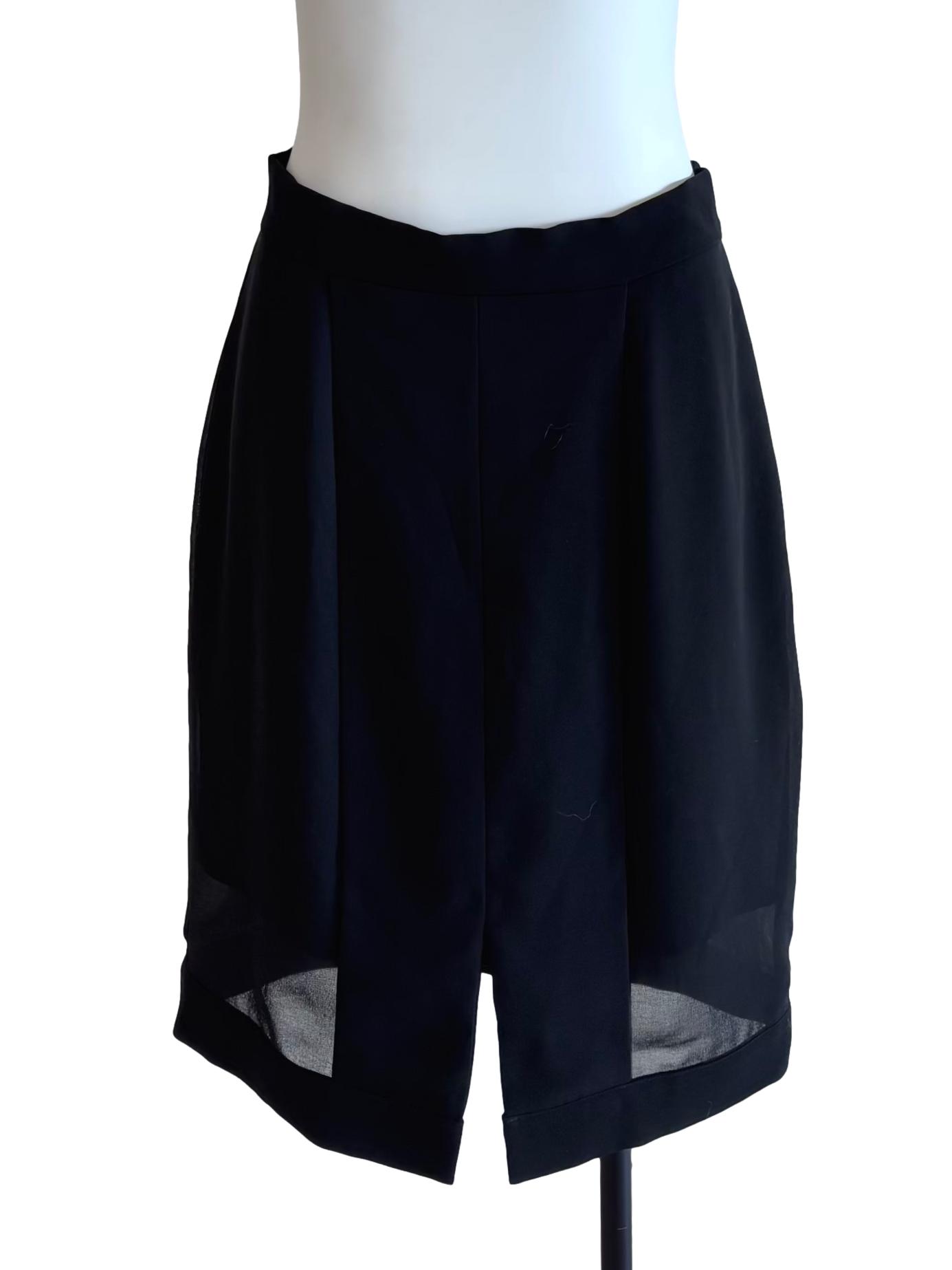 Black Sheer Pleated Skirt