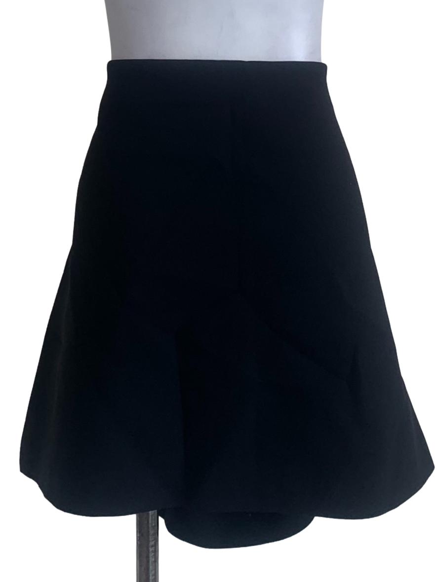 Black Mini Skirt