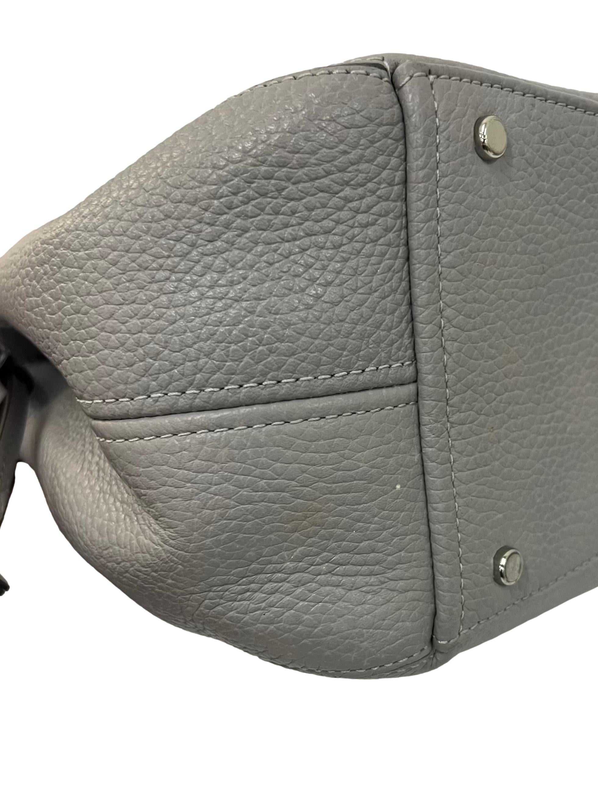 Grey Pebbled Leather Dumpling Small Satchel Bag CSN