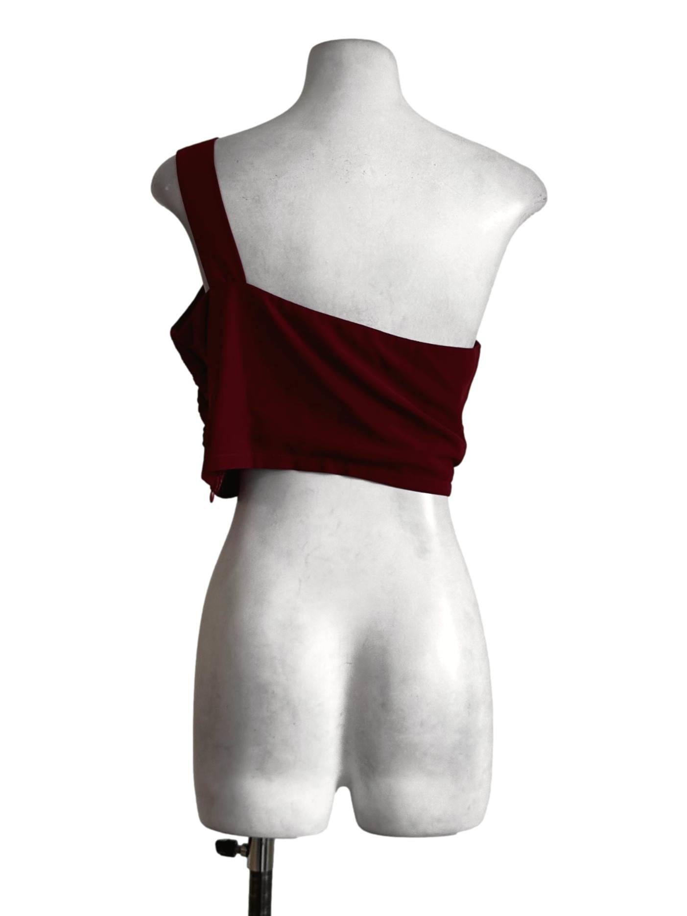Brick Red Pleated Crop Top