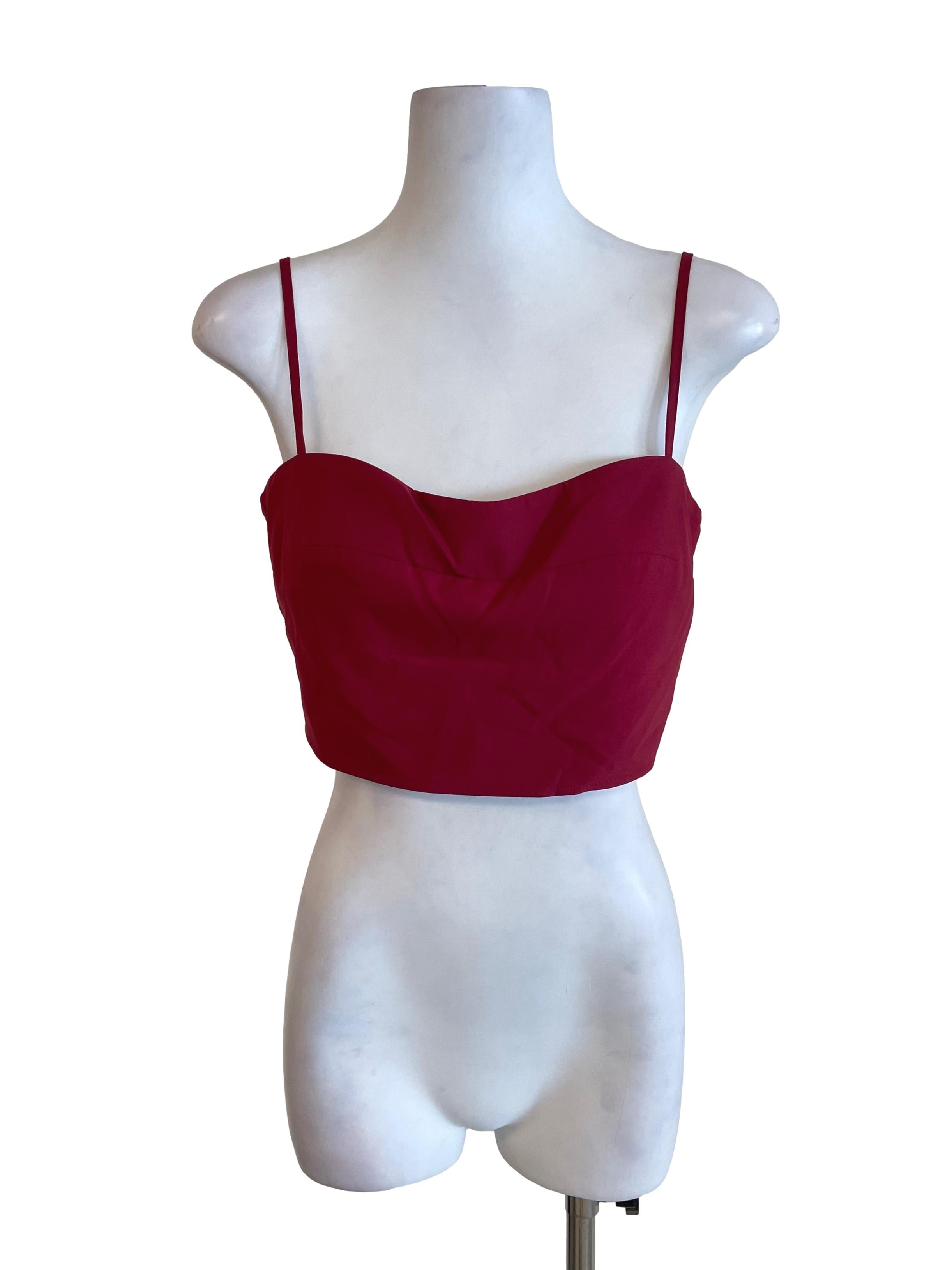 Berry Cami Tube Top