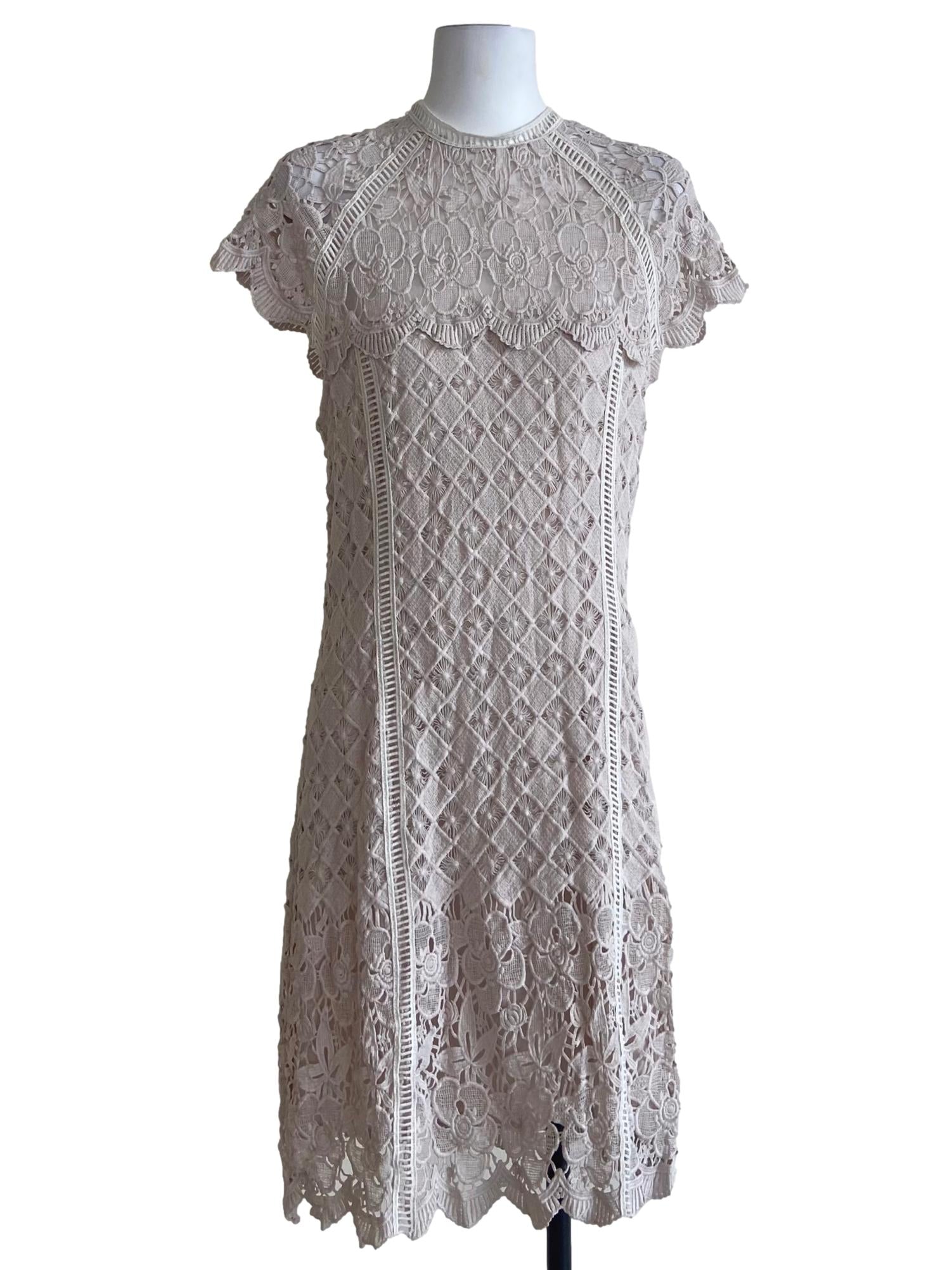 Rice Beige Floral Lace Shift  Dress
