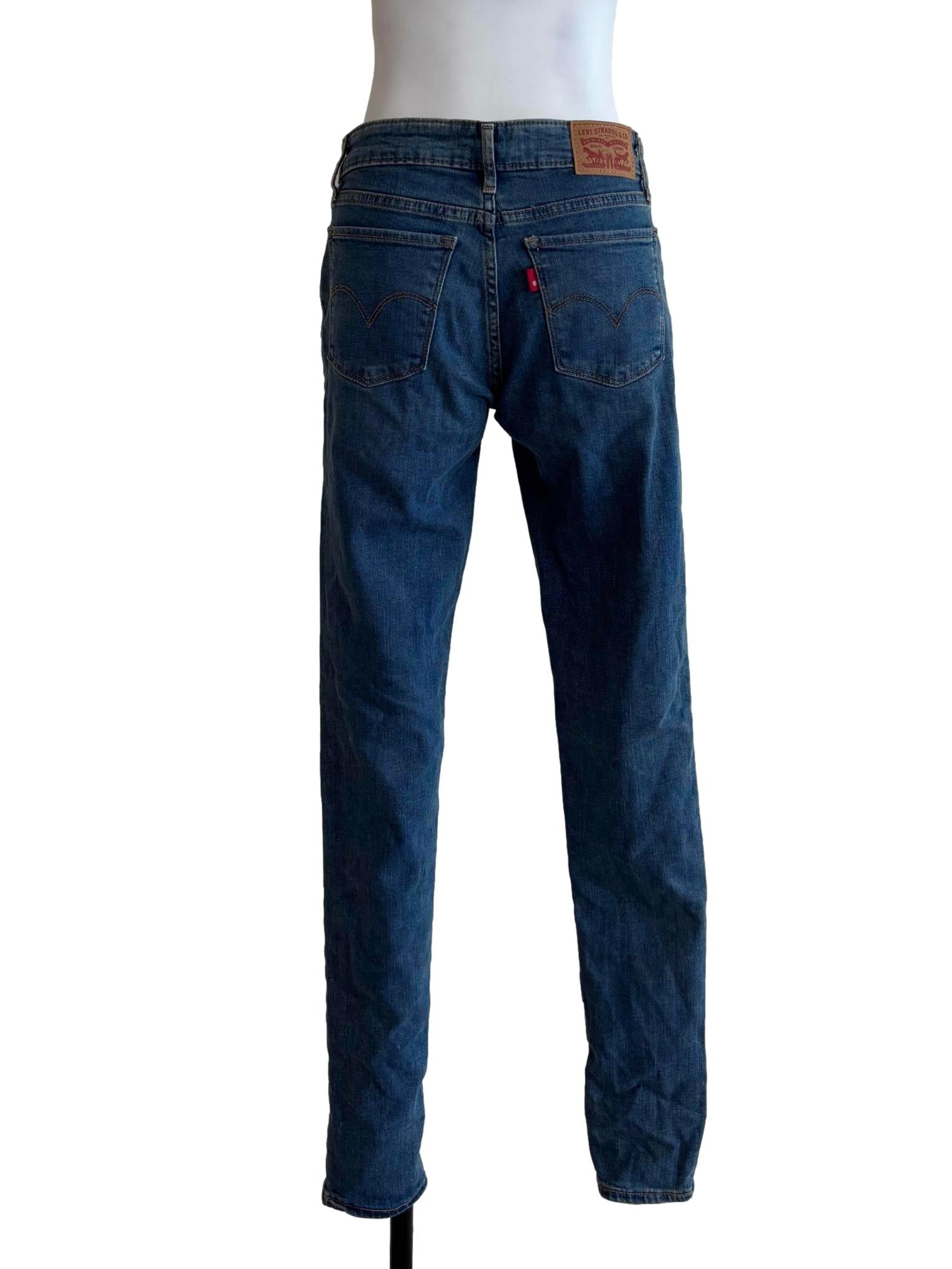 Blue Denim Low-Waisted Skinny Jeans