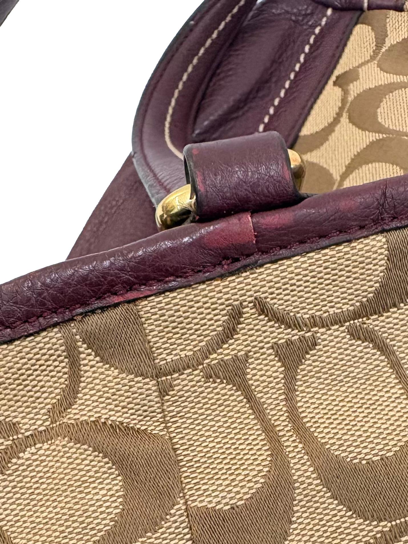 Brown Monogram Maroon Leather Park Carrie Tote Bag