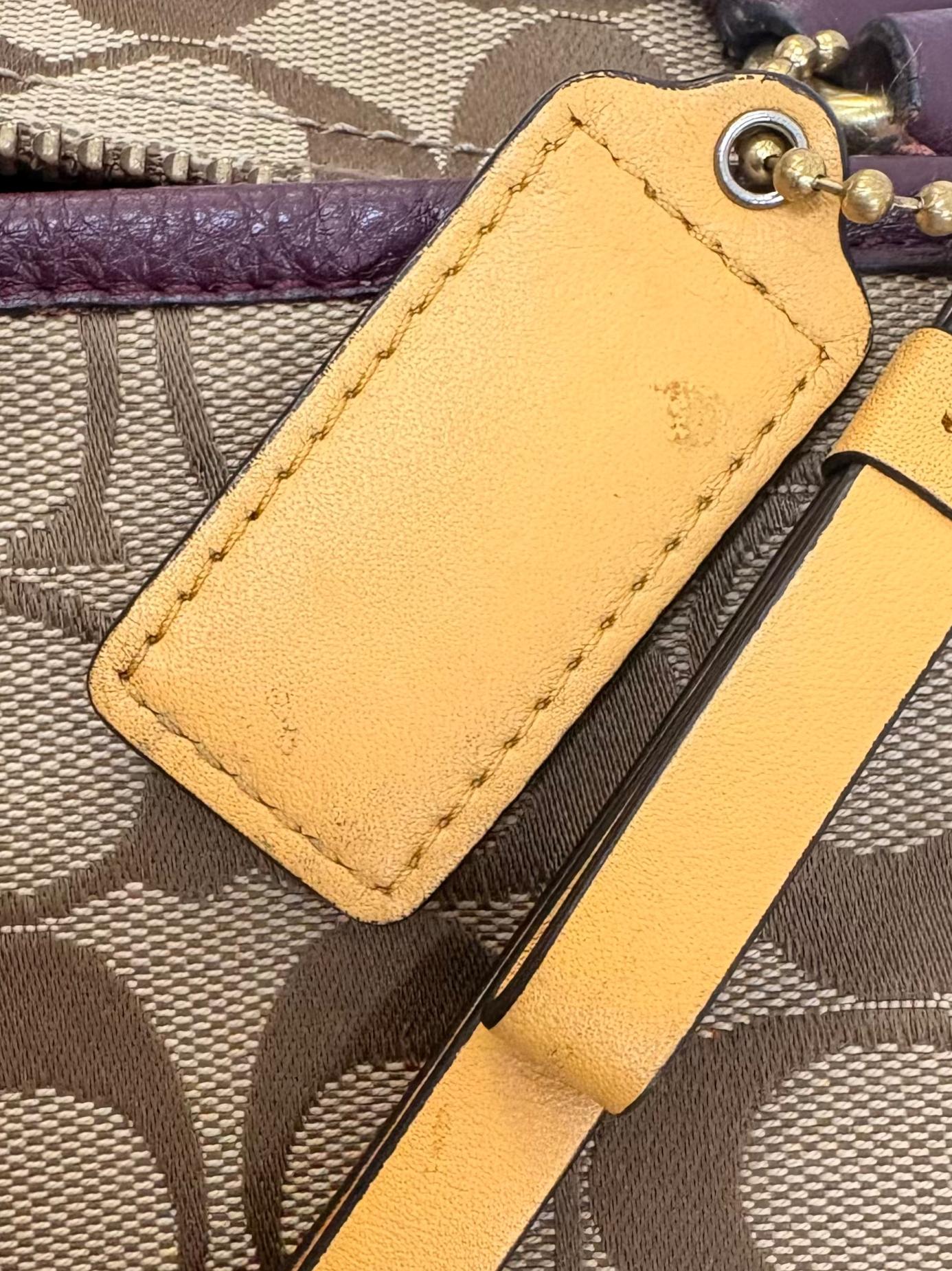 Brown Monogram Maroon Leather Park Carrie Tote Bag