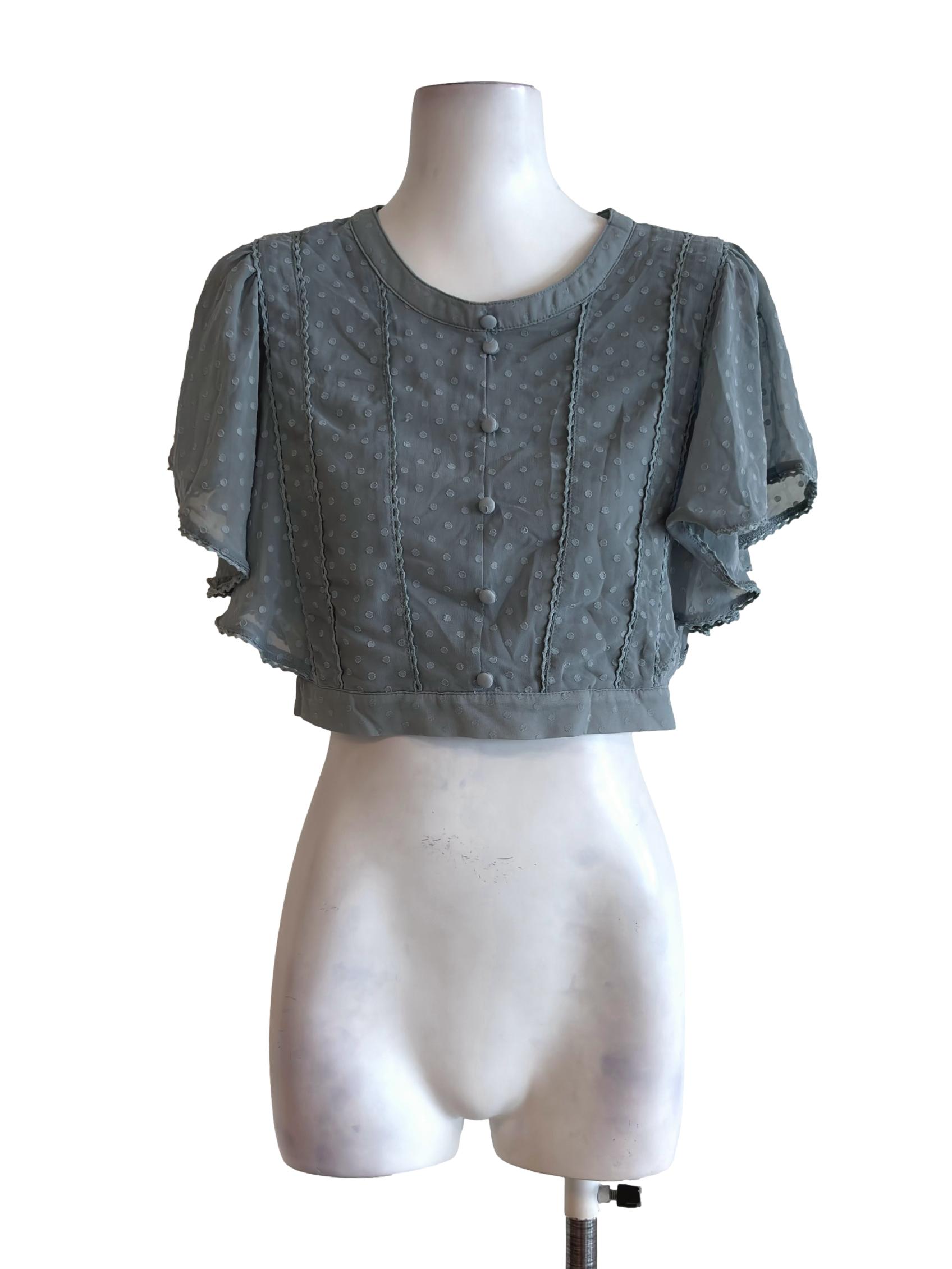 Stone Blue Dotted Lace Sleeve Crop Top TCL