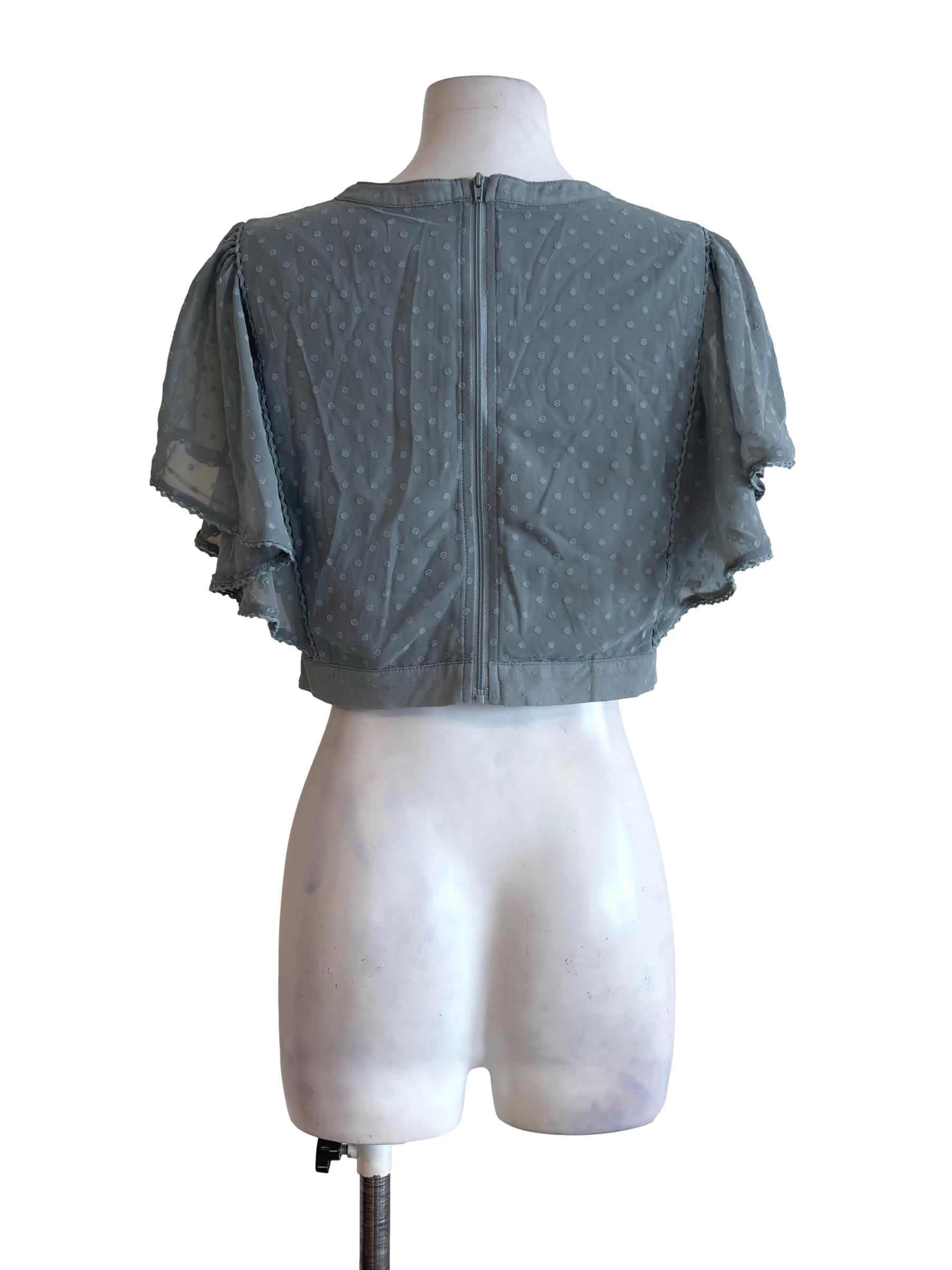 Stone Blue Dotted Lace Sleeve Crop Top TCL