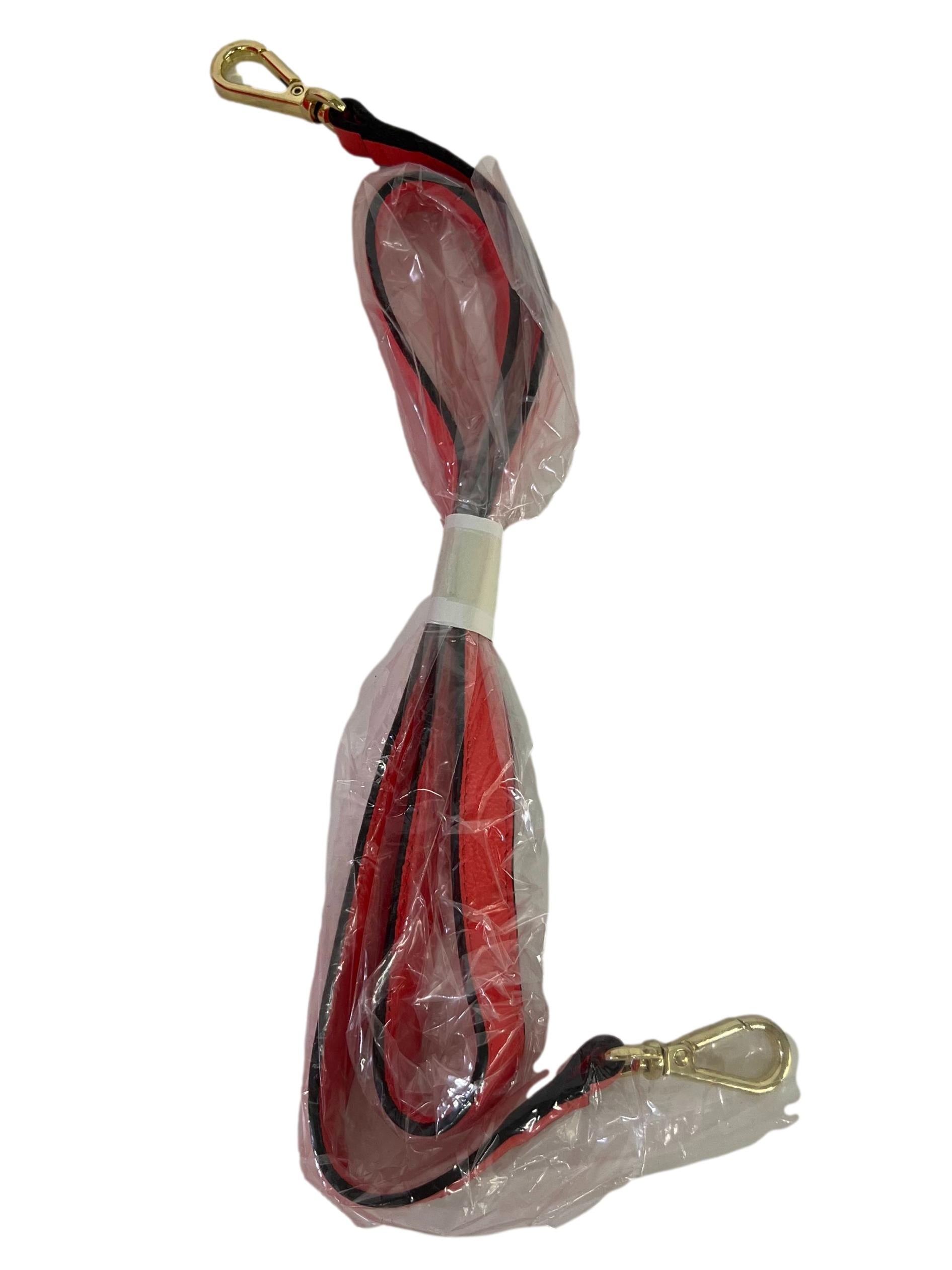 Neon Orange Leather Handbag CSN