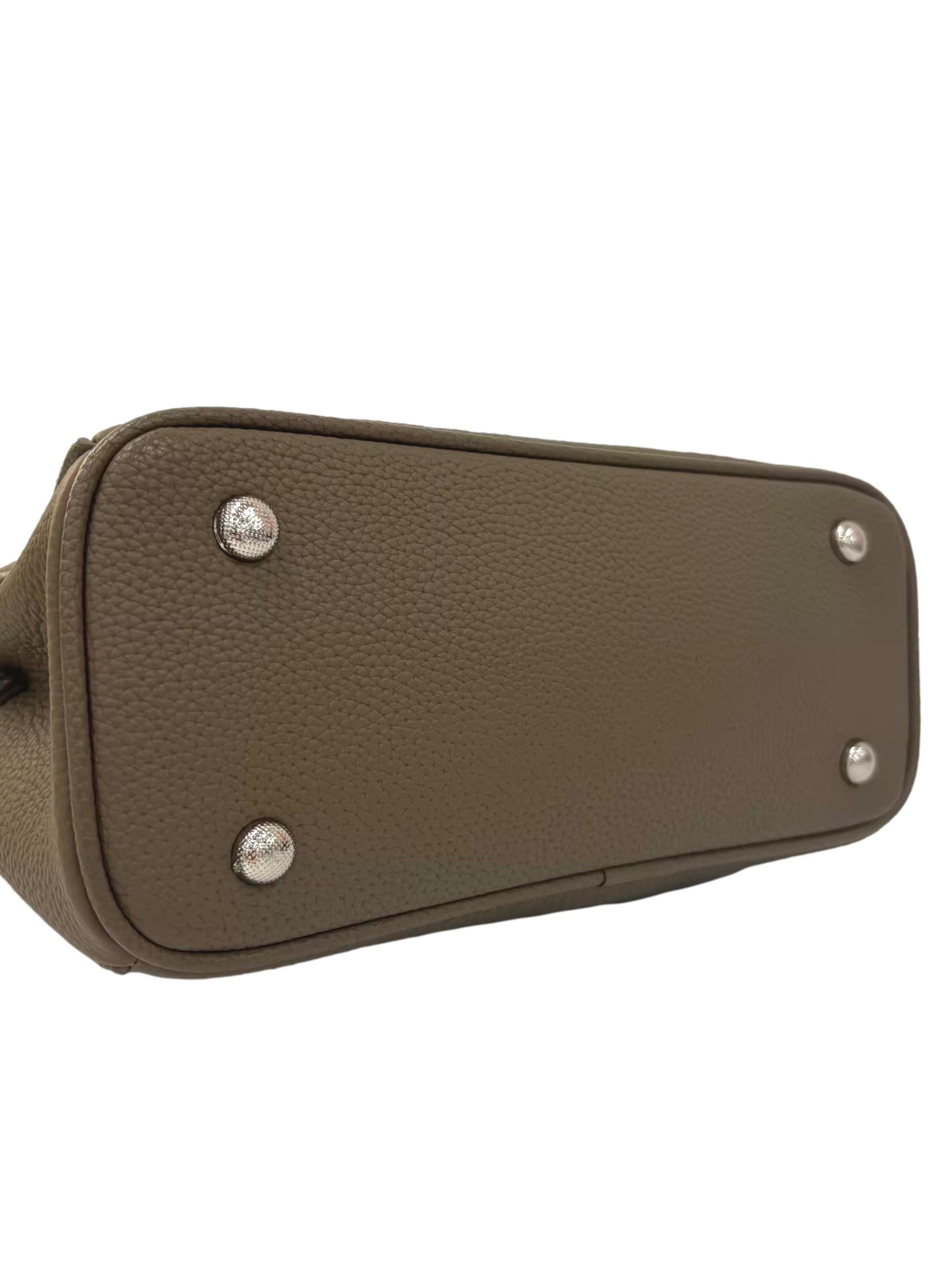 Brown Pebble Belt Crossbody Bag