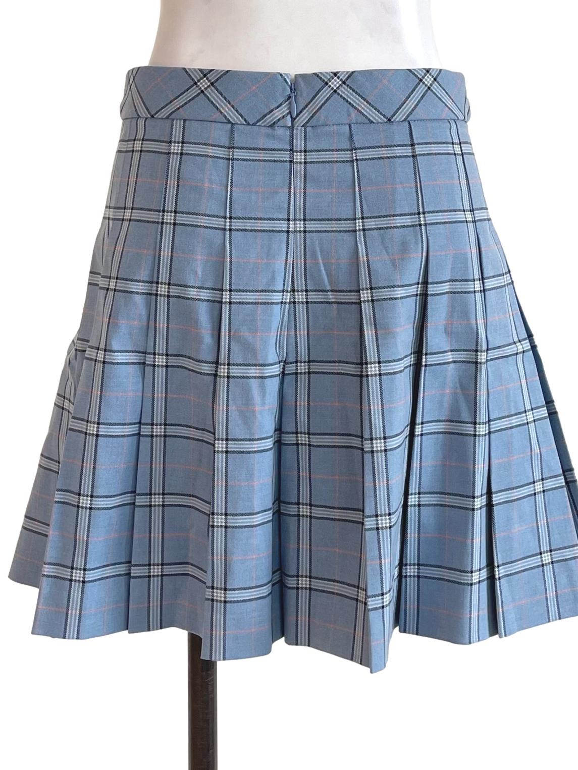 Blue Pleated Check Skirt