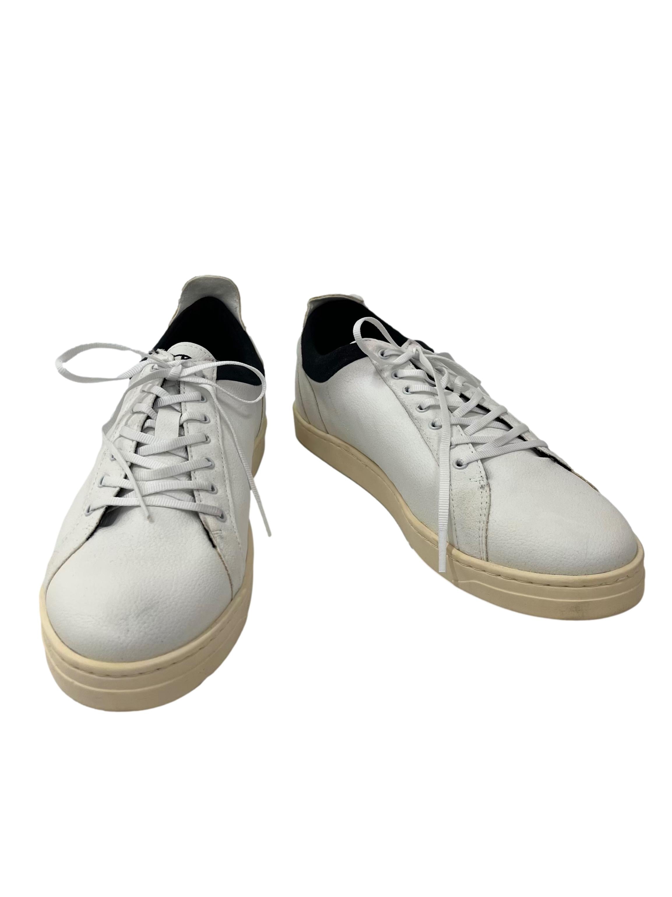 Latte White Boras Got Classic Sneakers