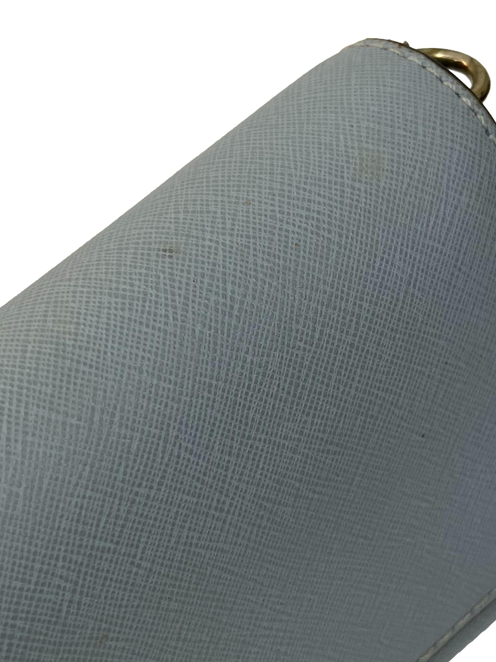 Baby Blue Long Crossbody Bag