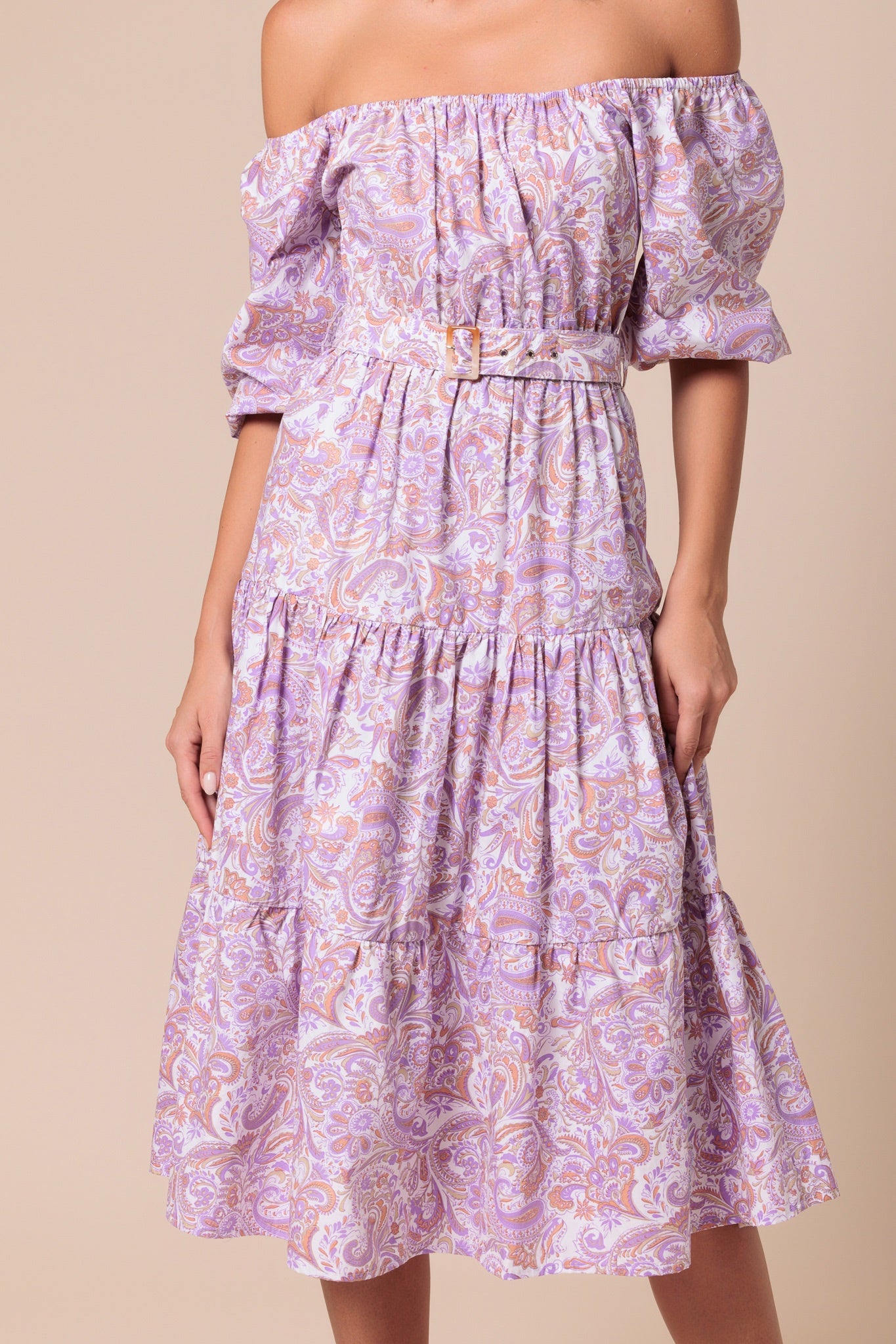 Arra Dress In Crystal Paisley - Purple CSN