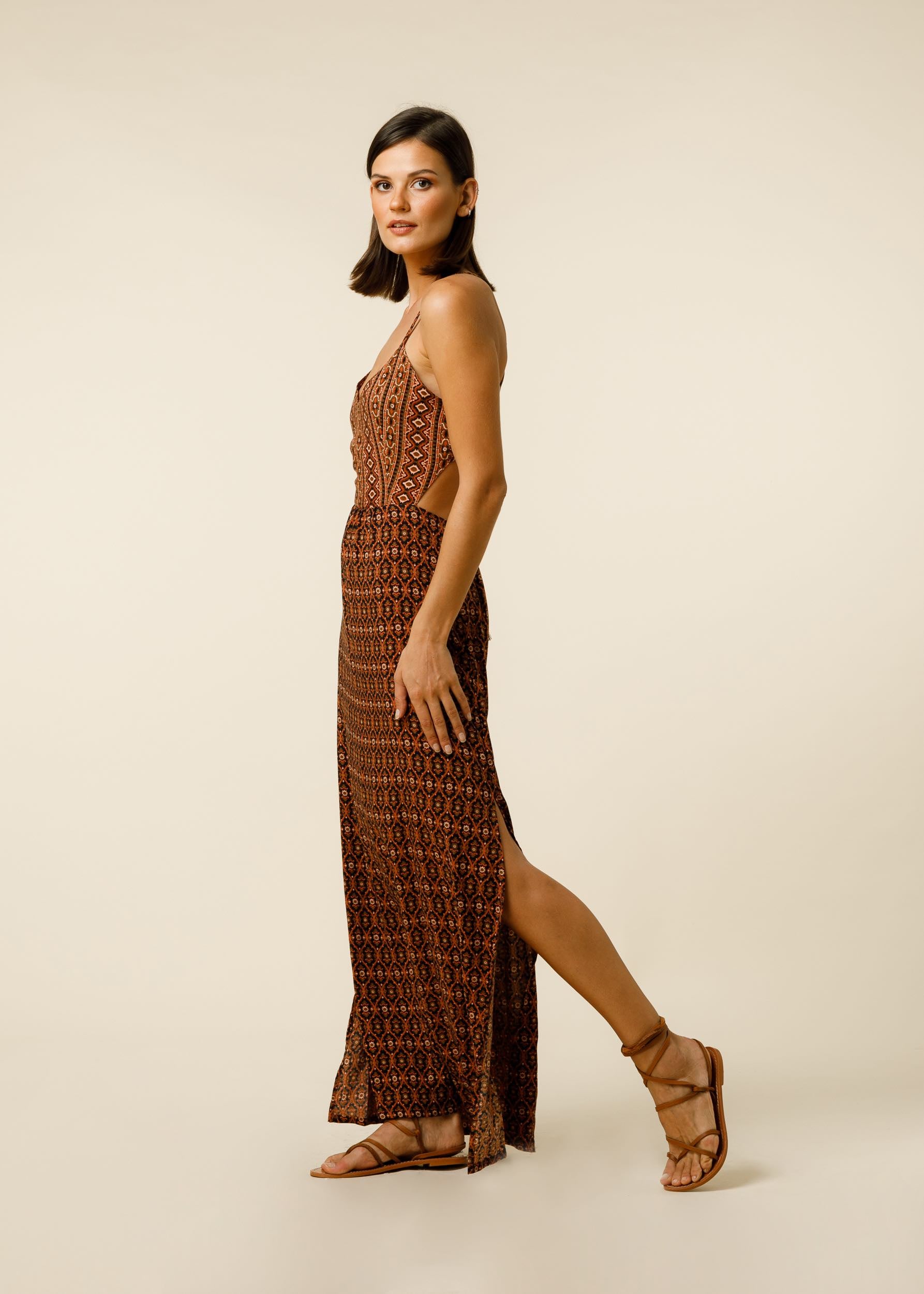 Espen Dress In Felis Border Print - Brown CSN