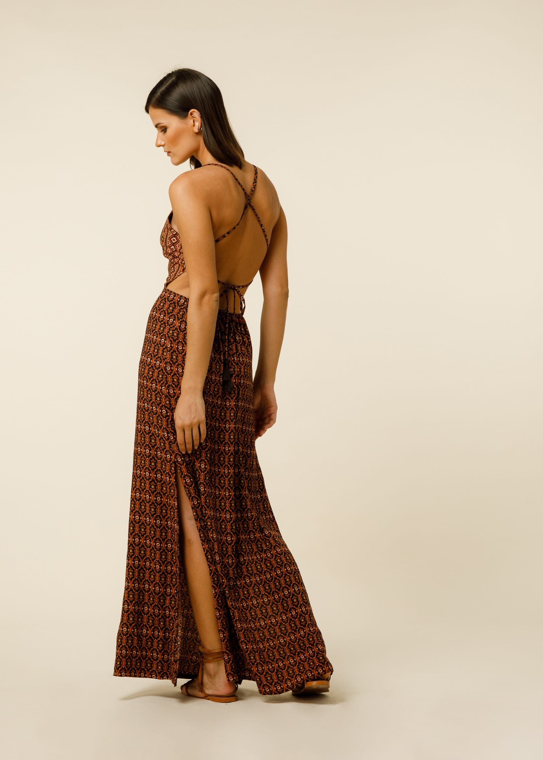 Espen Dress In Felis Border Print - Brown CSN