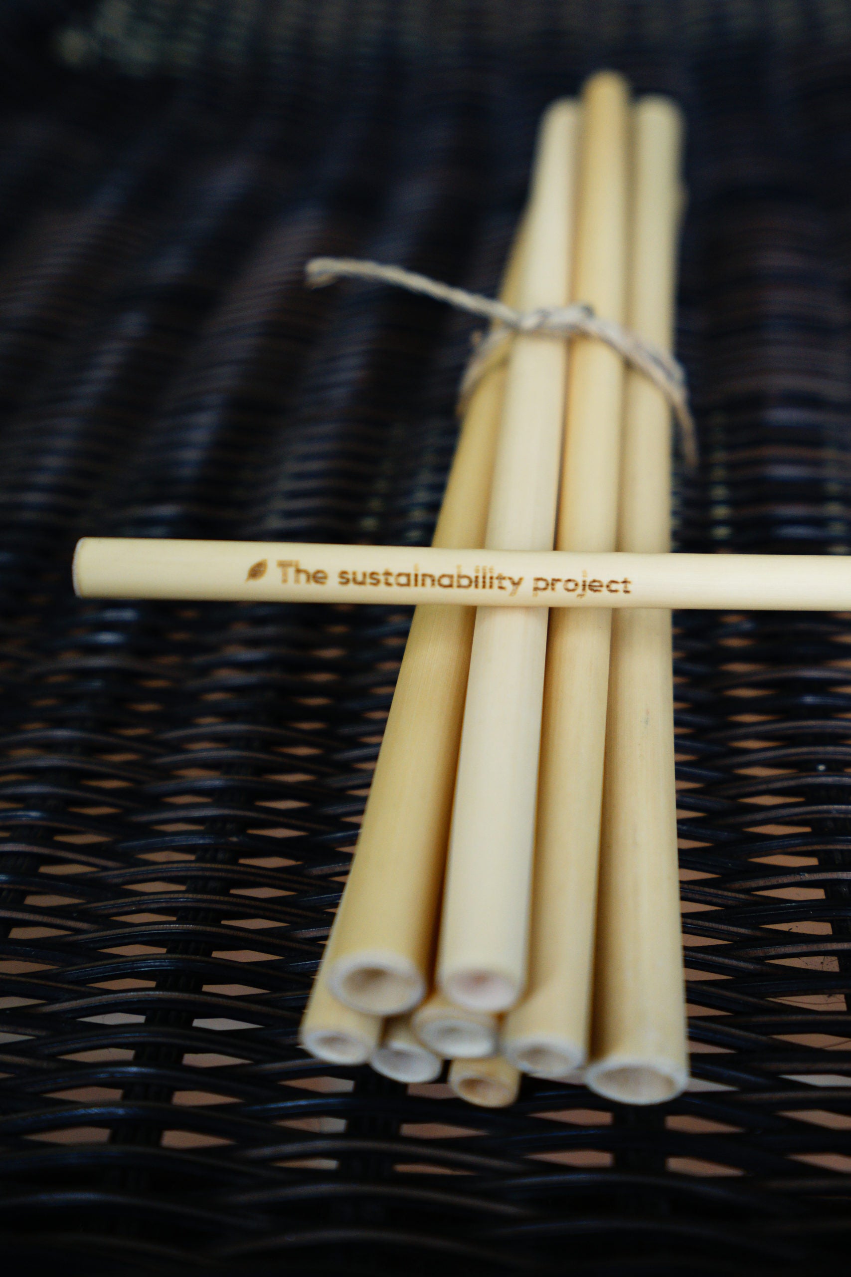 Bamboo Straw - LM