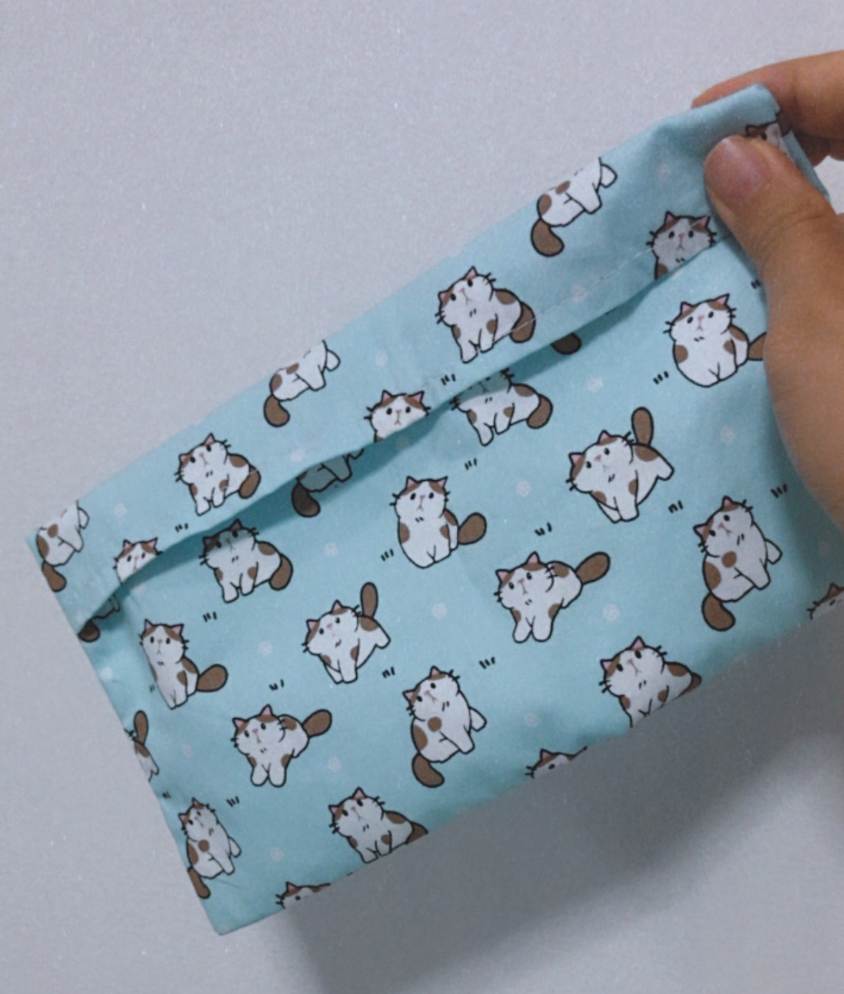 Mask Pouch - LM