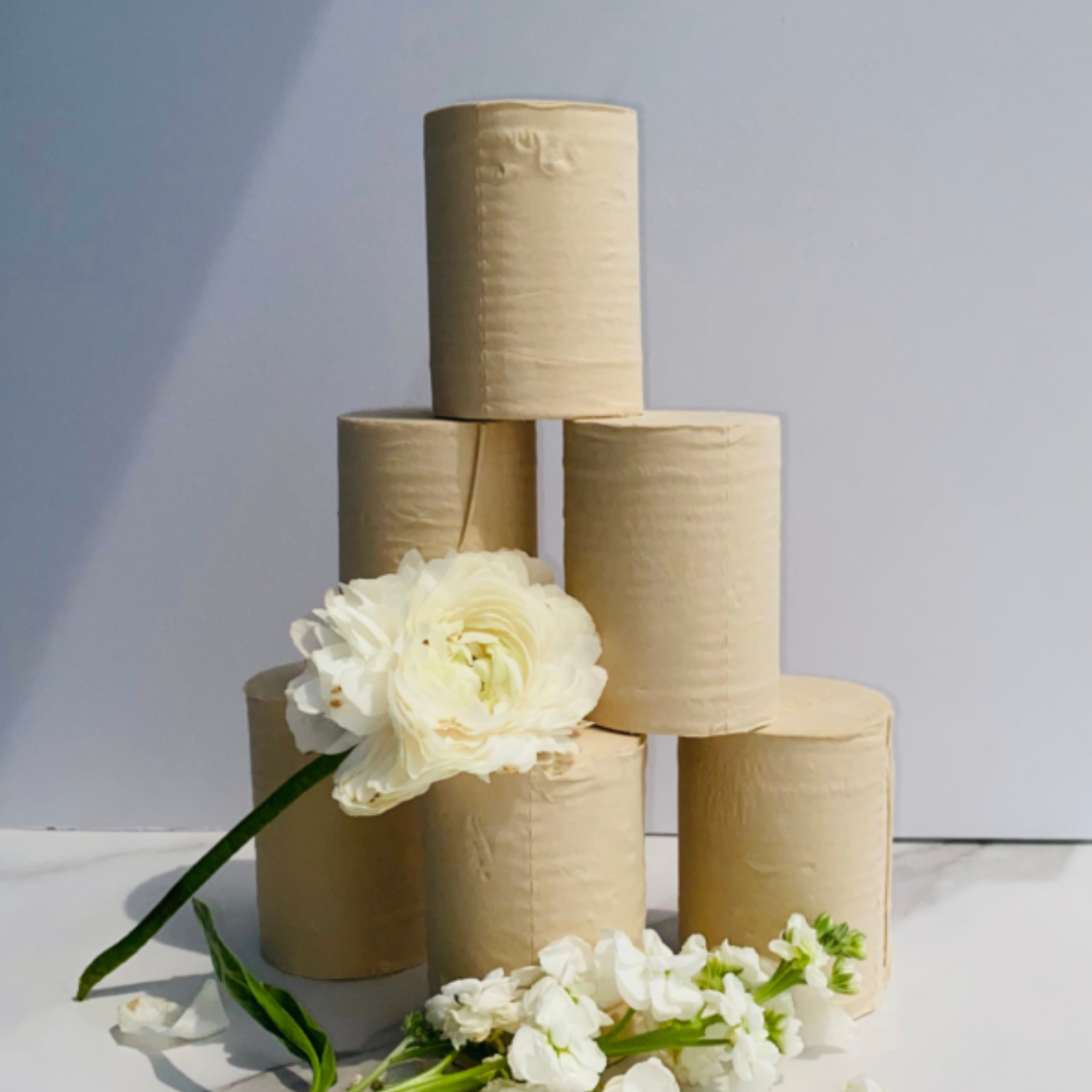 Bamboo Toilet Roll - LM